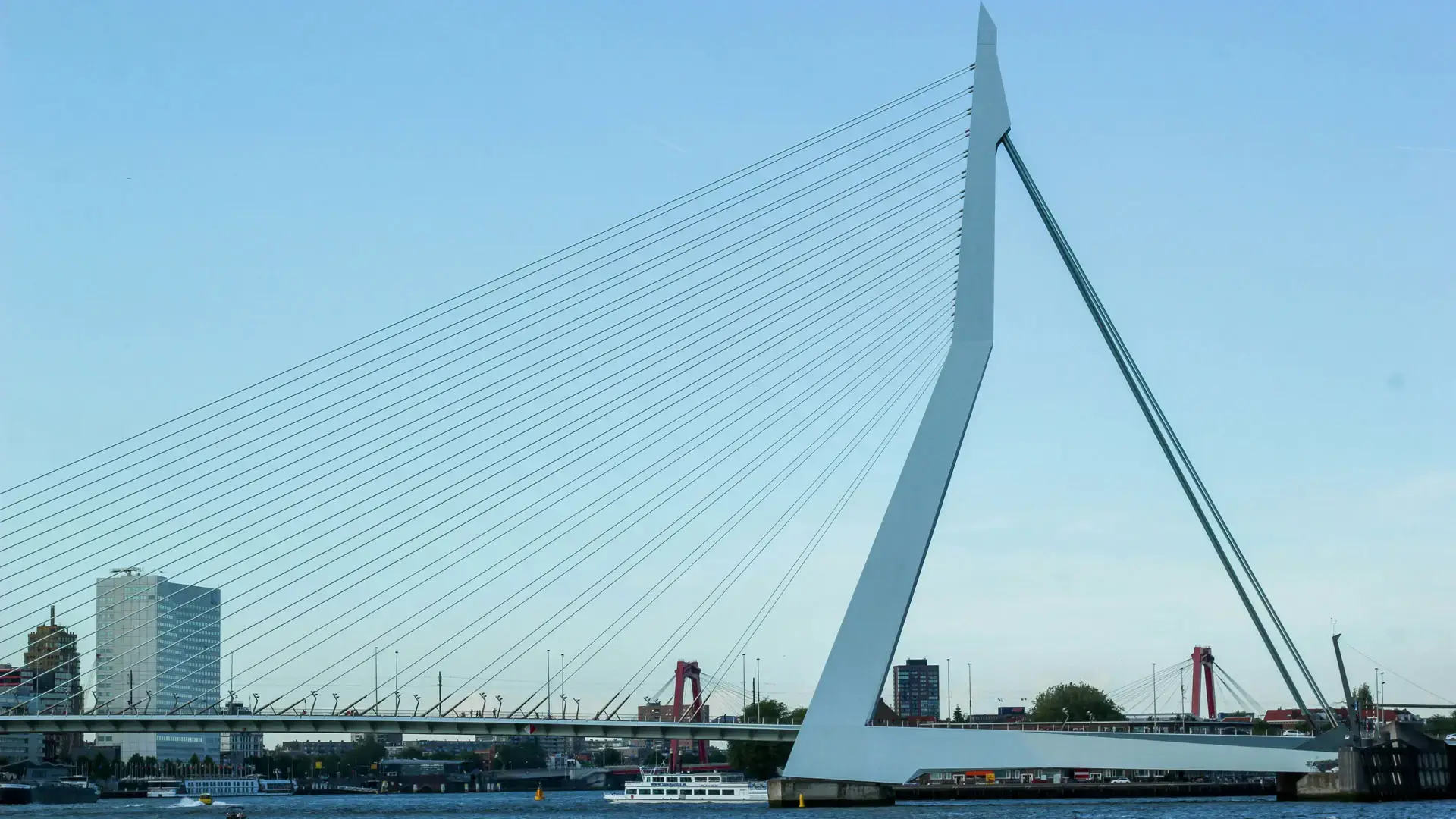 Erasmusbrug - tender en aanbestedingen voor infra en bouw